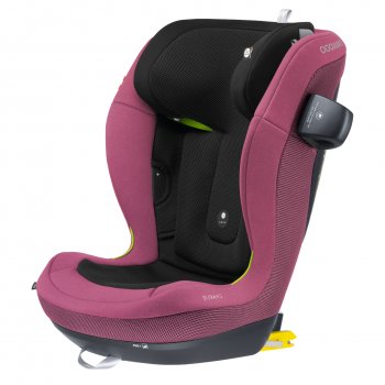 Автокресло Swandoo Charlie i-size new Playful Plum