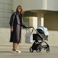 Детская коляска 2 в 1 Bugaboo Dragonfly на шасси Graphite 31