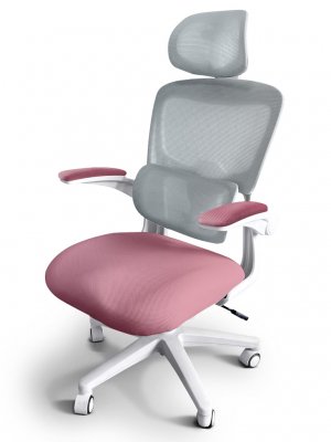 Детское кресло Ergokids Teen c подлокотниками Розовый