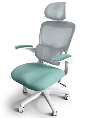 Детское кресло Ergokids Teen c подлокотниками