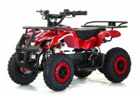 Детский электроквадроцикл Rivertoys ANRI 10