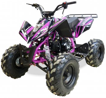 Квадроцикл подростковый бензиновый MOTAX ATV T-Rex-LUX 125 сс Черно-фиолетовый