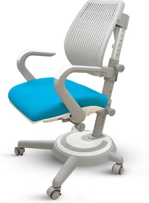 Детское ортопедическое кресло Mealux Ergoback Y-1020