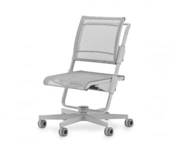 Детский стул Moll S6 Серый