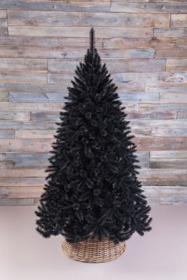 Пихта Triumph Tree Прелестная черная 215 см