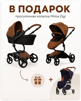 Коляска 2 в 1 Mima Xari MAX Camel