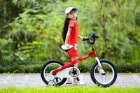 Детский велосипед Royal Baby Honey Steel 14