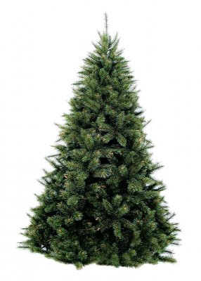 Сосна Triumph Tree Сказочная светло-зелёная