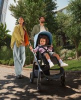 Коляска прогулочная Bugaboo Dragonfly на шасси Black 27