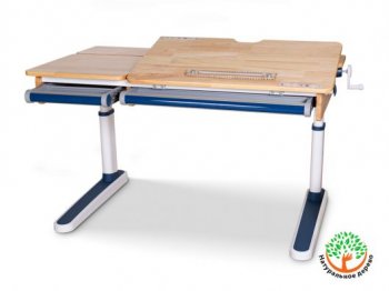Детский стол-парта Mealux Oxford Wood Lite (BD-920 Wood Lite) с полкой/ящиком Синий