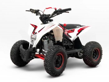 Квадроцикл бензиновый MOTAX GEKKON 90 cc