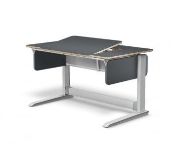 Детский стол Moll T2 M-C