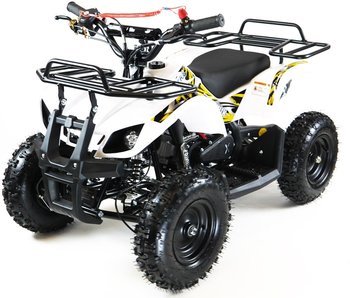 Квадроцикл детский бензиновый MOTAX ATV Mini Grizlik Х-16 с электростартером и пультом Белый