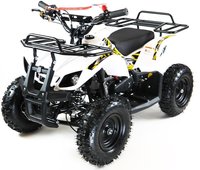 Квадроцикл детский бензиновый MOTAX ATV Mini Grizlik Х-16 с электростартером и пультом 2