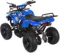 Квадроцикл детский бензиновый MOTAX ATV Mini Grizlik Х-16 с электростартером и пультом 10