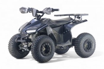 Детский электроквадроцикл Rivertoys LEON 48V Карбон