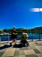 Детская коляска 2 в 1 Bugaboo Fox Cub шасси Black 16