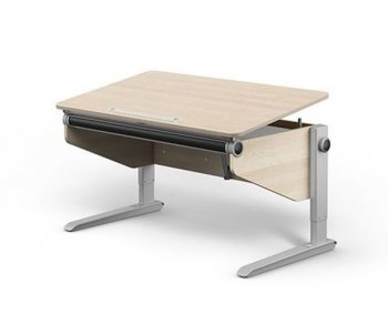Детский стол Moll Winner Comfort