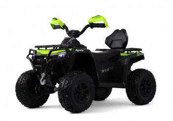 Детский электроквадроцикл Rivertoys E009EE