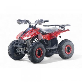Детский квадроцикл Rivertoys LEON 49CC