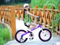 Детский велосипед Royal Baby Honey Steel 16