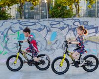 Детский велосипед-беговел Royal Baby Freestyle EZ 14