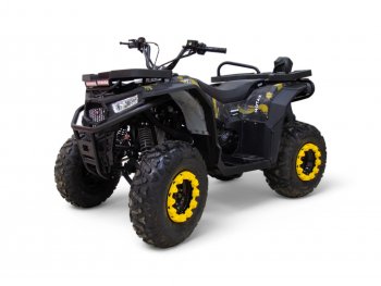 Квадроцикл бензиновый MOTAX GRIZLIK W200